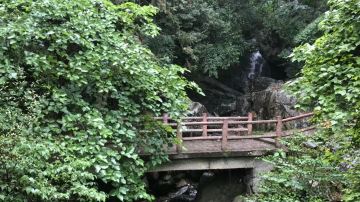 微信图片_20180518150556