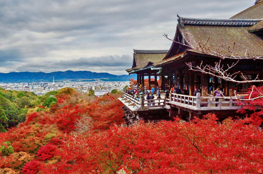 盘点京都旅游必须享受的八件事,樱花和服体验有你意想不到的惊喜!