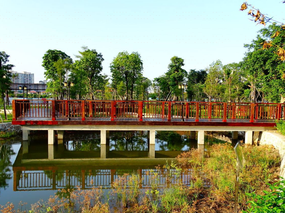 东明桥水生植物公园