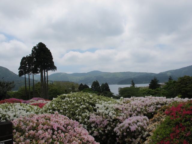 箱根芦之汤花园