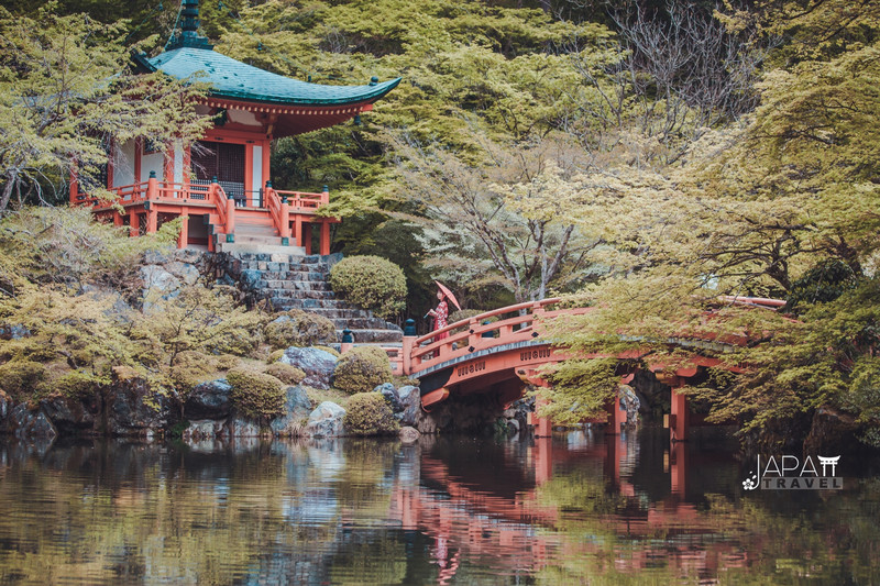 京都花见 总有樱花在等你 冷门赏樱秘所大公开 天鹅之旅