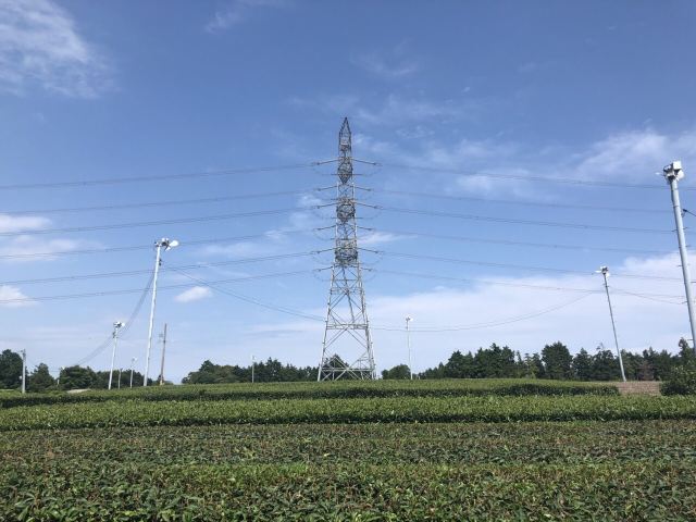 静冈牧之原大茶园攻略 静冈牧之原大茶园门票 游玩攻略 地址 图片 门票价格 携程攻略