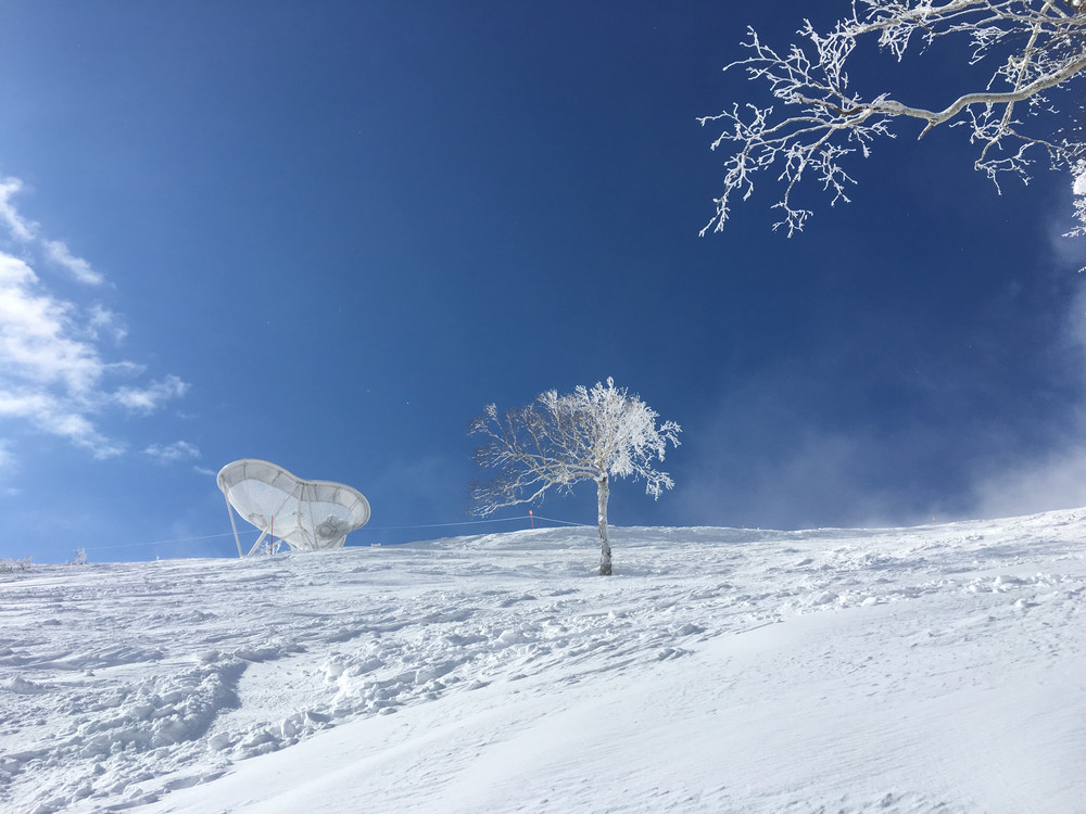 带娃邂逅雪之秘境 冬の北海道 札幌游记攻略 携程攻略