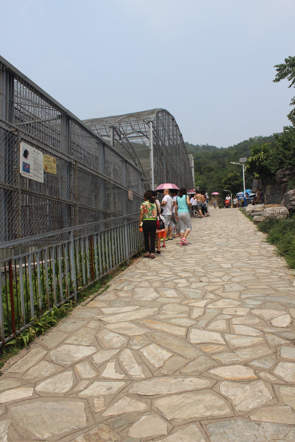 如果你不幸誤入南門,又特別想帶孩子去看動物園,你可以坐景區的電瓶車