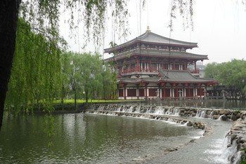 西北望长安,陌上无穷树