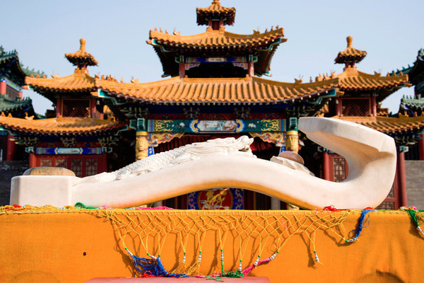 丝路新奇迹,发现曹妃甸之美