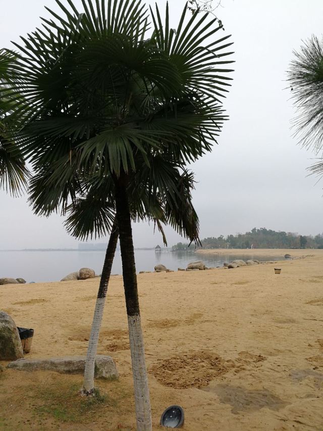 南昌瑶湖攻略,南昌瑶湖门票/游玩攻略/地址/图片/门票价格【携程攻略