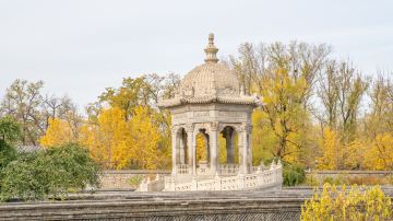 hellorf_2236145233
