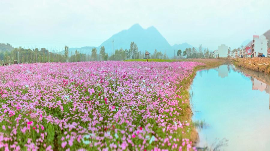 仙溪花廊