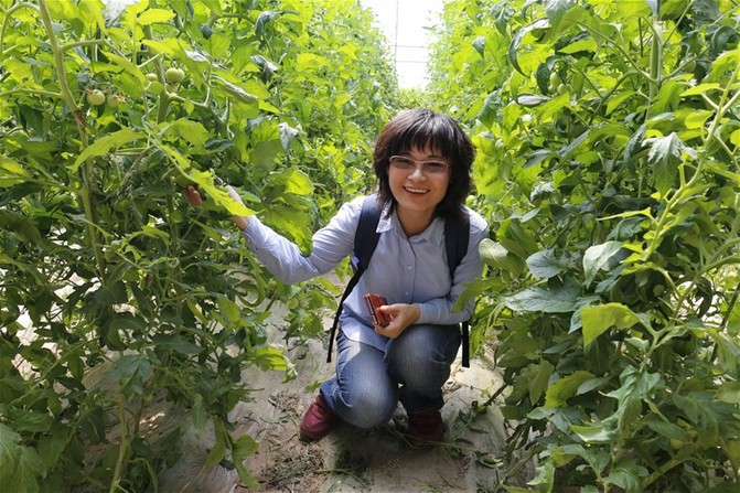 [原创]青县"博森庄园"采摘园.河北20.