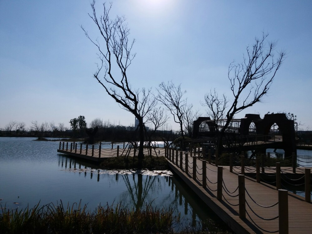 三灣溼地公園位於古運河畔的三灣生態中心,是揚州市規劃建設的大型