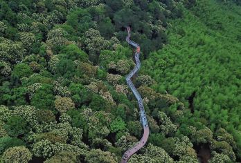 江西大余丫山+南方红军三年战争纪念馆一日活动【含司机导游门票】【一车一团，不拼车，真自由，无购物，私密性好，体验性强】