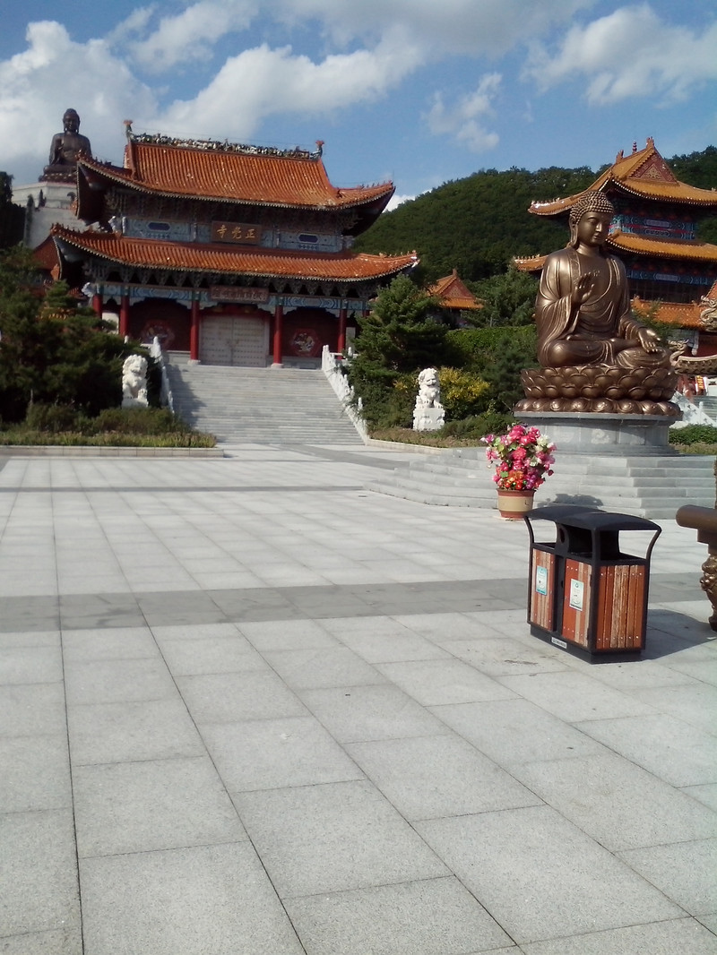 100d15000000xmn3aF1E1_R_800_10000_Q90.jpg?proc=autoorient