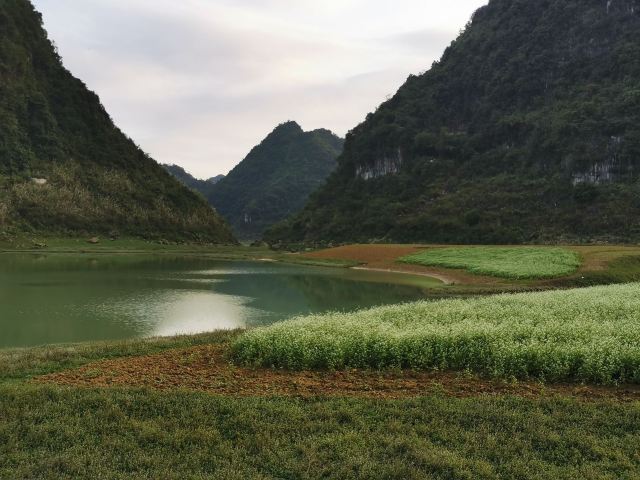 隆安更望湖攻略,隆安更望湖门票/游玩攻略/地址/图片/门票价格【携程