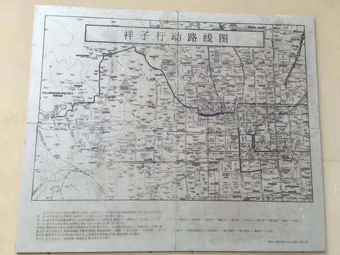 骆驼祥子_骆驼祥子一个月收入(3)
