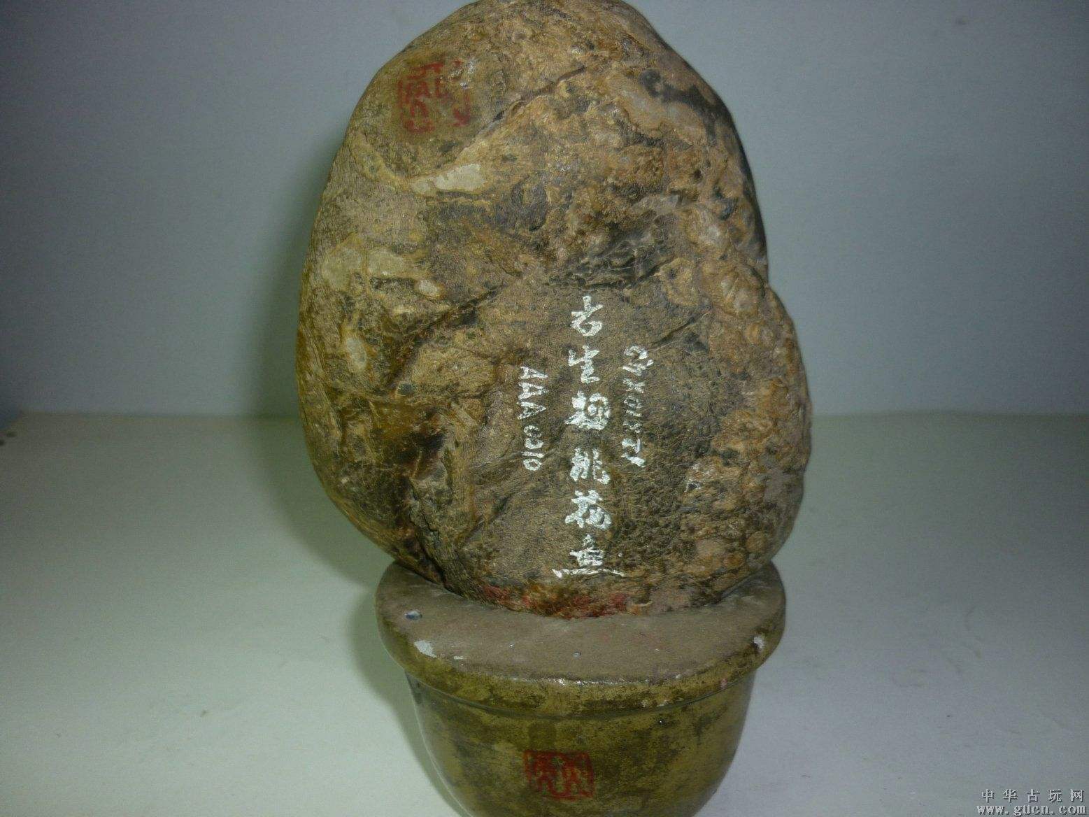 中国古生物化石保护基金会赏石馆