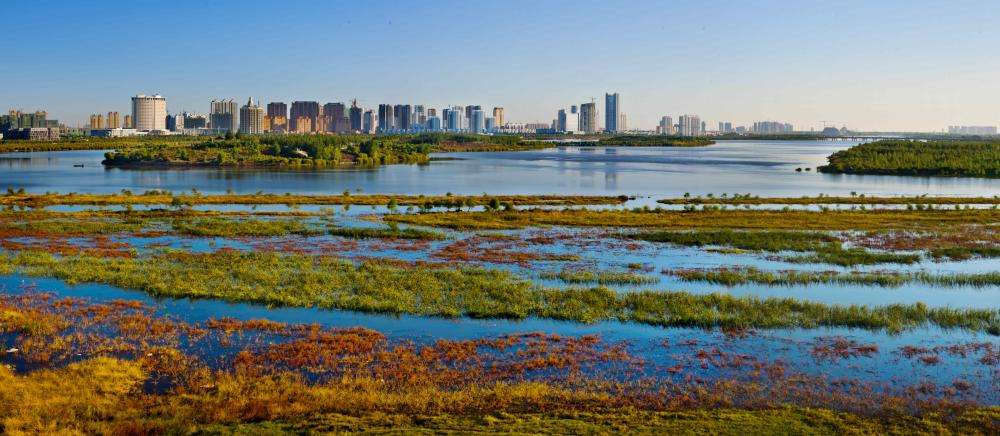 金河湾湿地植物园