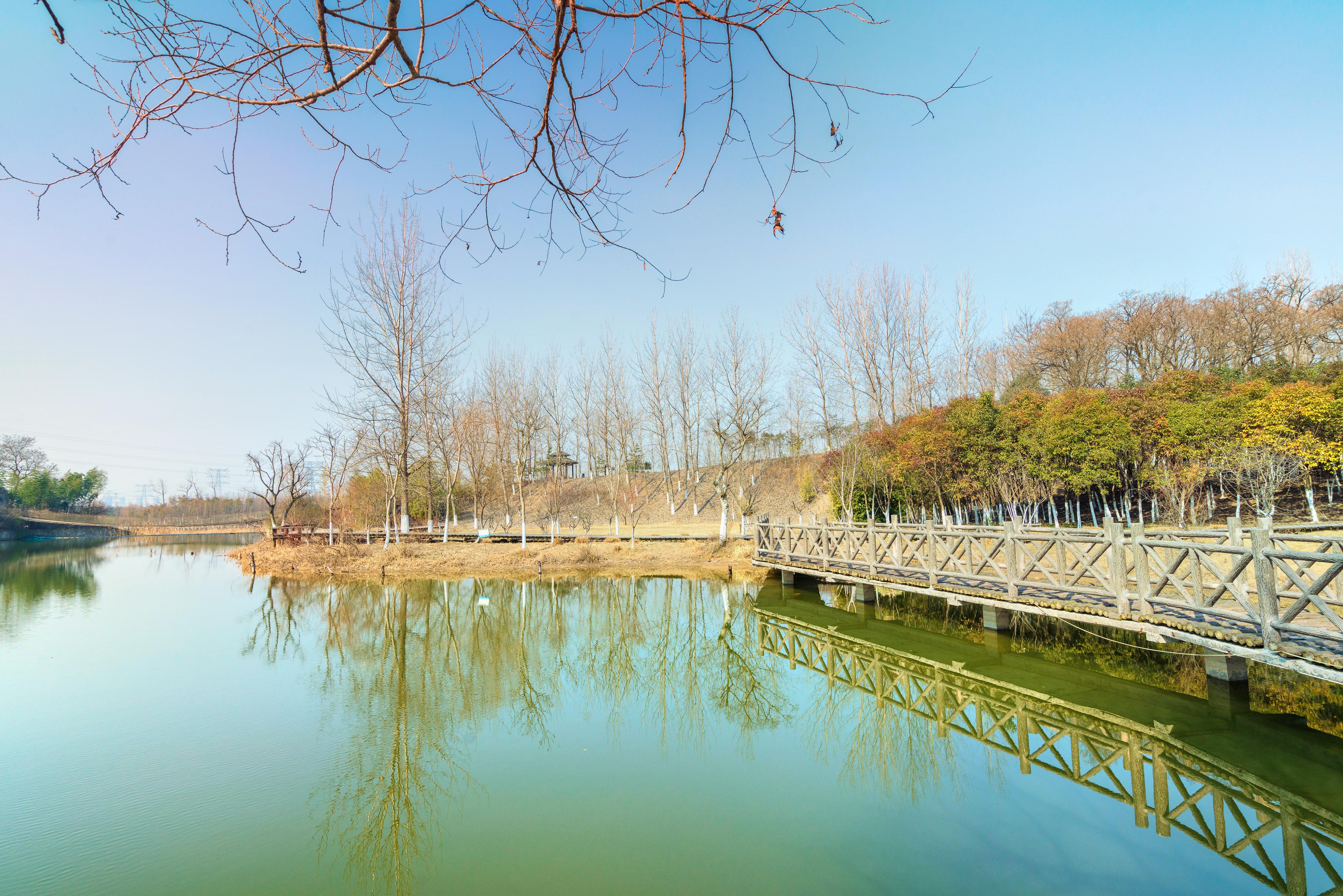 古淮河文化生态景区