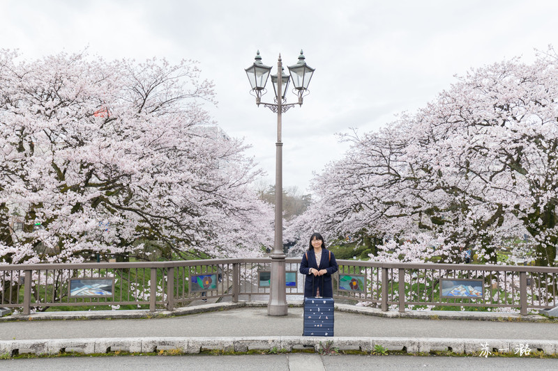 日本升龙道樱花之旅 名古屋 高山 白川乡 金泽 富山 含柯南圣地巡礼 日本游记攻略 携程攻略