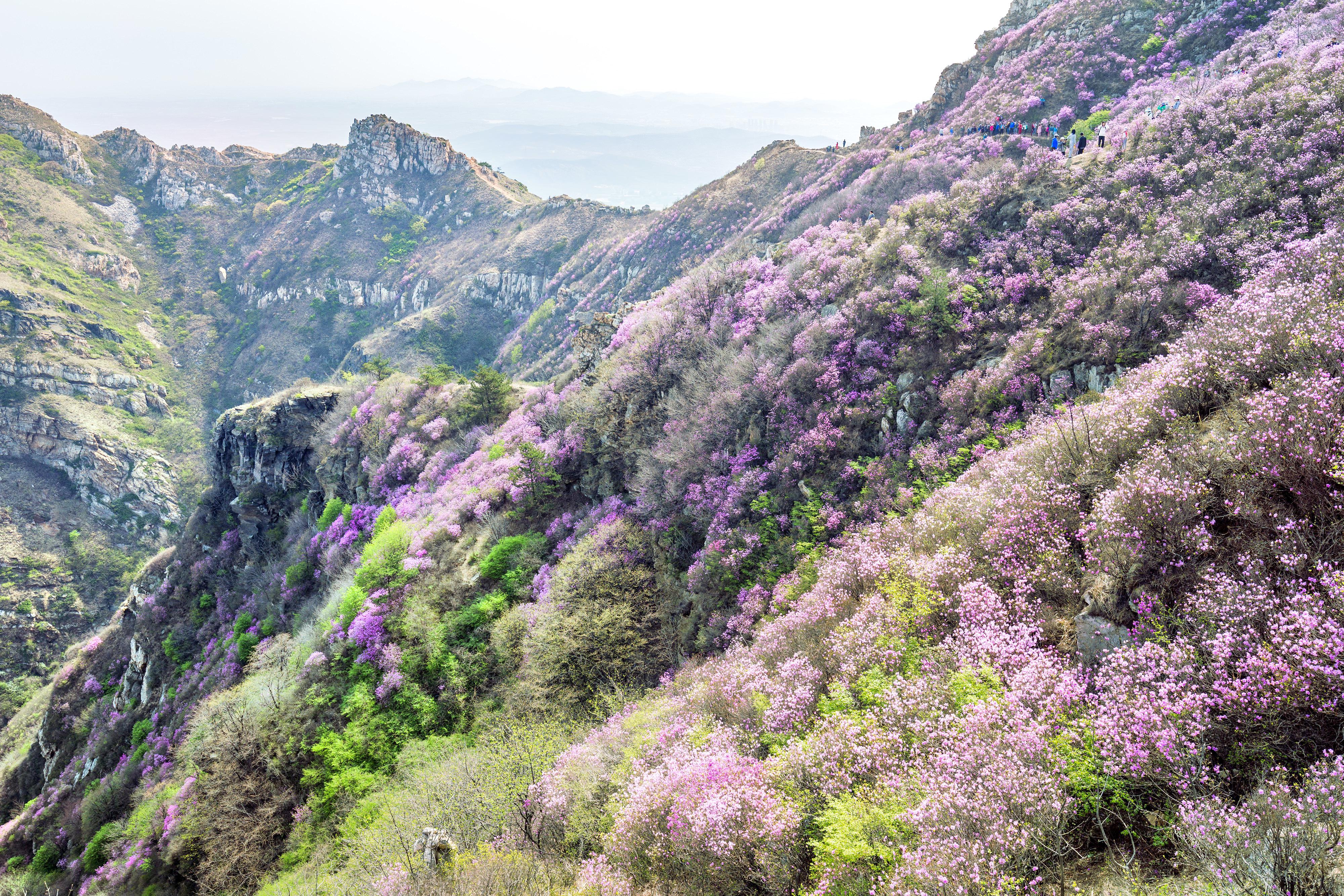 大黑山