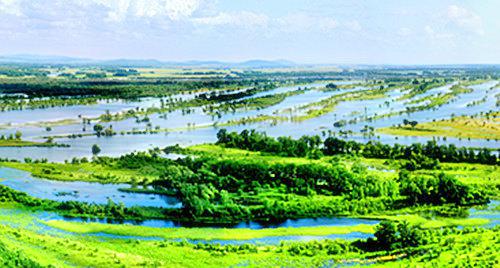 七星河湿地国家级自然保护区