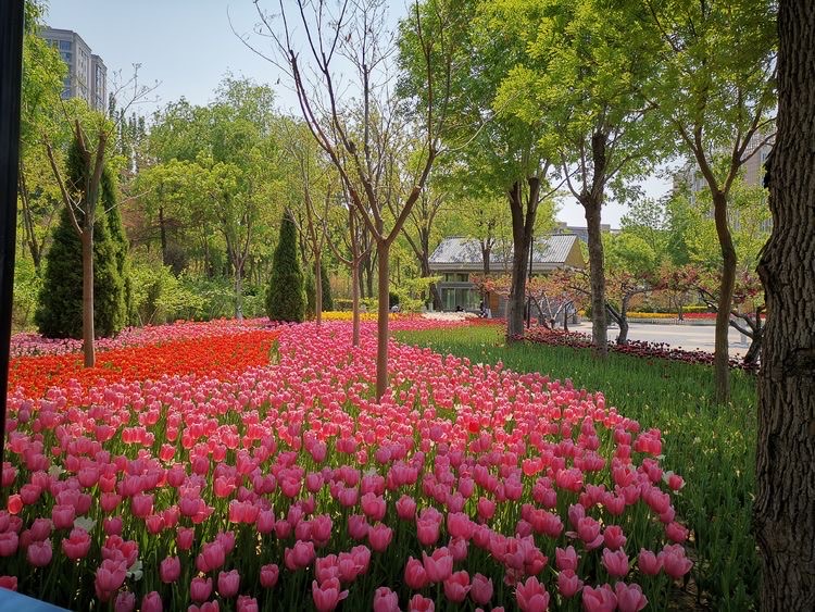 花园山旅游区