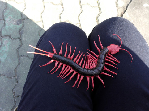 什么动物可以打过蜈蚣 100g0a00000054h96BFC5_C_671_10000_Q90.jpg