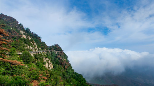 沂蒙山銀座天蒙旅遊區一日遊懸崖索橋棧道玻璃觀景