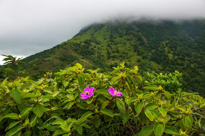 香港|秀山禅影,与佛同行,一日玩转大屿山 - 香港