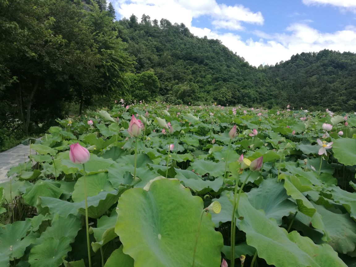 仙人岩