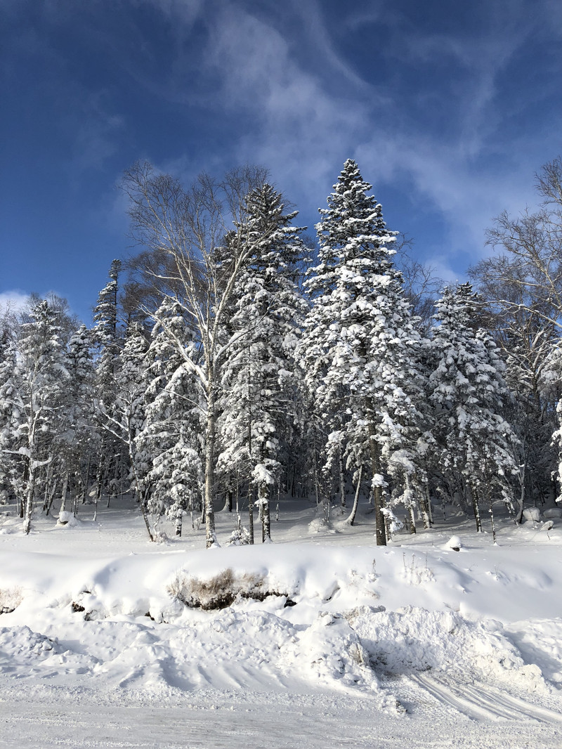 你想不想堆个雪人简谱_宝宝幼儿园 你想不想堆个雪人