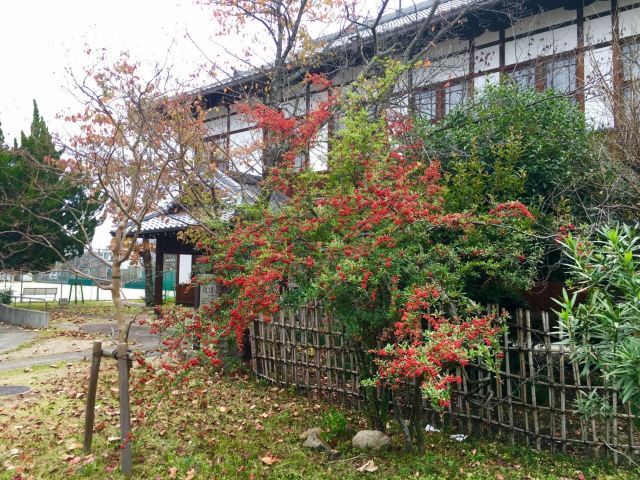 奈良奈良女子大学攻略 奈良奈良女子大学门票 游玩攻略 地址 图片 门票价格 携程攻略