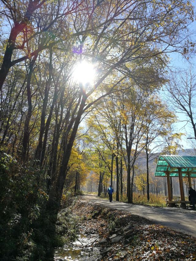 铁力日月峡国家森林公园攻略,铁力日月峡国家森林公园门票/游玩攻略