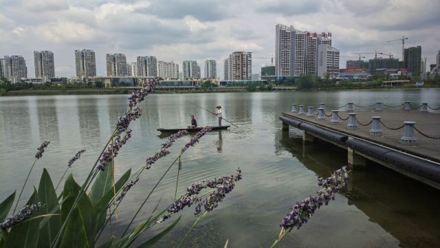 遂寧聖蓮島荷花博覽園攻略,遂寧聖蓮島荷花博覽園門票/遊玩攻略/地址