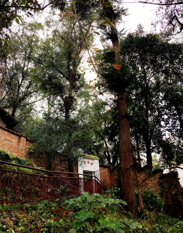 榕江苗王庙攻略,榕江苗王庙门票/游玩攻略/地址/图片/门票价格【携程