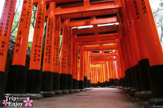 伏见稻荷大社 来到这里必须走一段红色柱子,回眸一看上头都写着日本