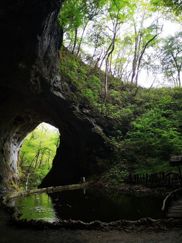 略阳五龙洞国家森林公园