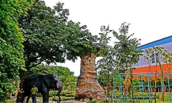 泰国曼谷 诗丽吉王后公园 สวนสมเด็จพระนางเจ้าสิริกิติ์