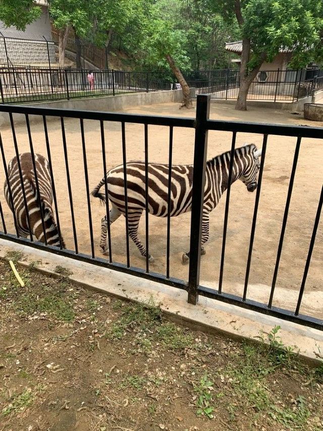 南山公园动物园