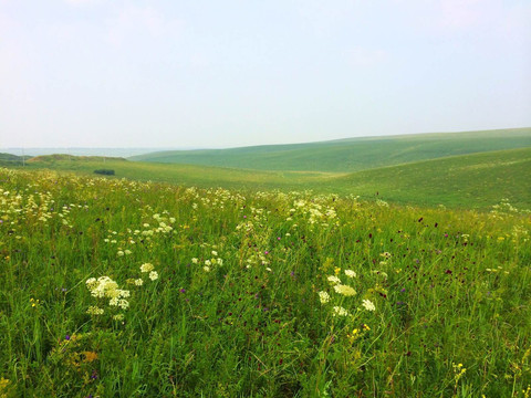呼伦贝尔大草原亲子游
