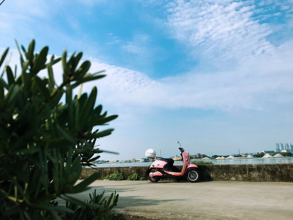 番禺大刀沙岛的秘密