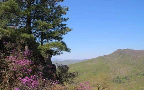 清河林业局悬羊岭风景区
