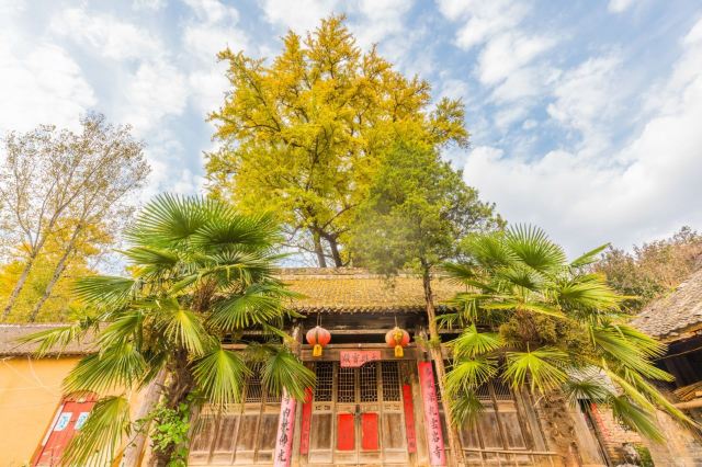 洛阳云岩寺攻略,洛阳云岩寺门票/游玩攻略/地址/图片/门票价格【携程