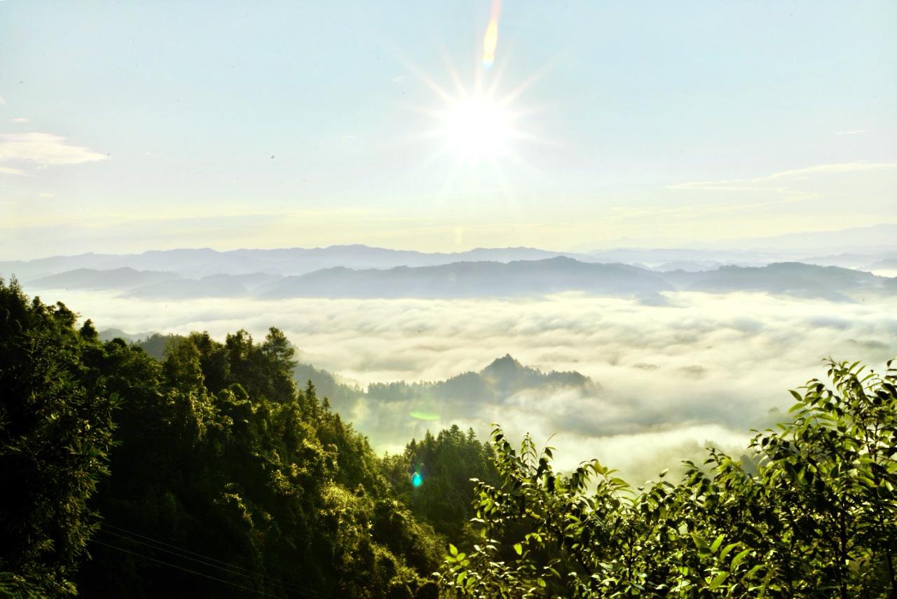 飞鸽景区