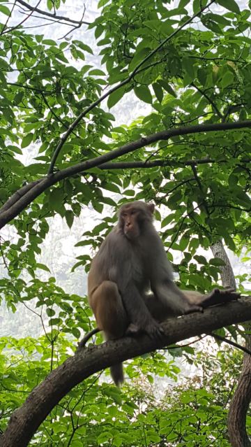 三山五岳之三山之二---秀美庐山