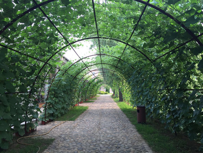 徐州到天津、秦皇岛、承德、北京、沧州.8天7