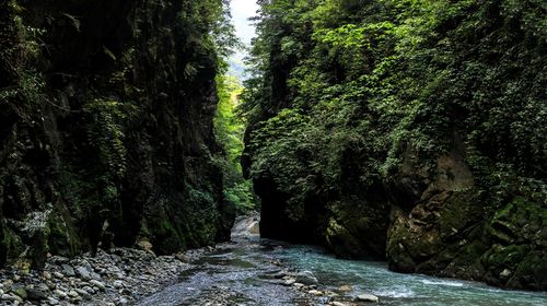 巴东人口_首发 秘境巴东共情同唱 我和我的祖国(3)