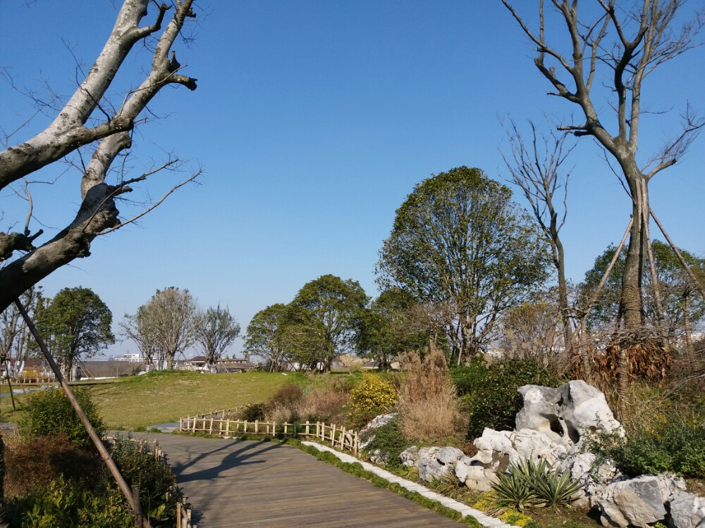 三灣溼地公園位於古運河畔的三灣生態中心,是揚州市規劃建設的大型