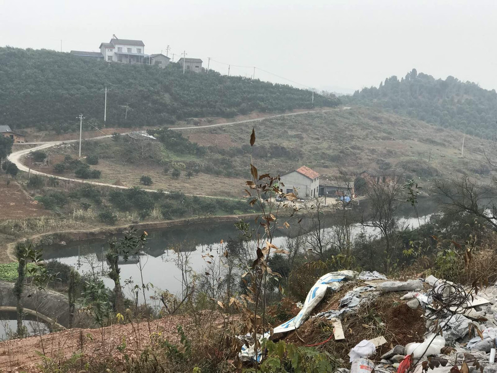 宜昌鸦鹊岭自然学校