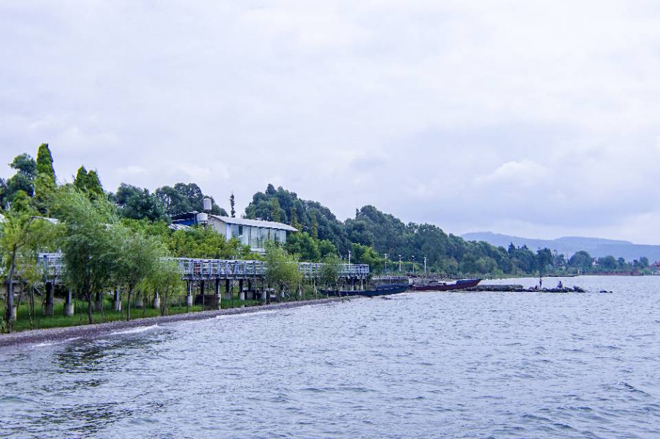 晋宁县东大河河口湿地